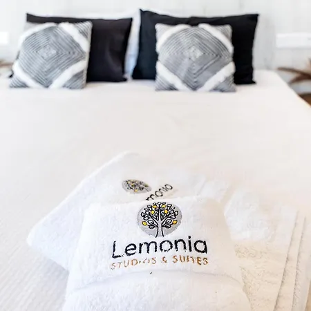 Apartment Lemonia Premium Balcony Agia Anna (Naxos)